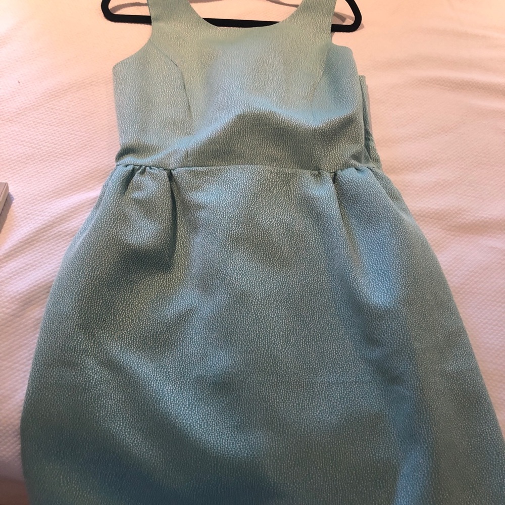NWT Erin fetherstone dress